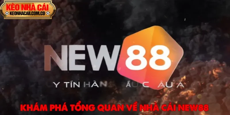 Nhà cái New88 đã đồng hành cùng cộng đồng cá cược suốt 10 năm qua