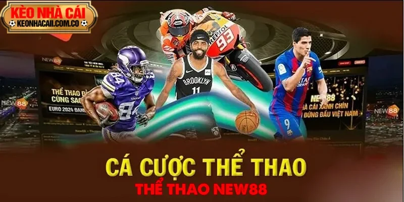 New88 là điểm đến lý tưởng cho những tín đồ đam mê cá cược năm 2025