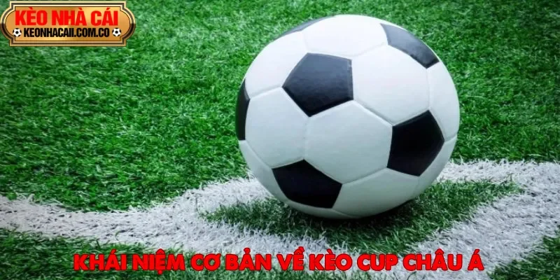 Soi kèo cup châu Á dành cho người chơi muốn trải nghiệm cá cược