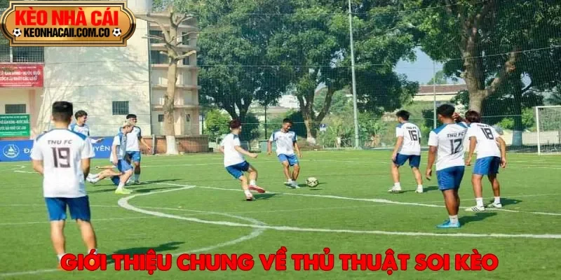 Thủ thuật soi kèo đặc biệt được người chơi cá cược bóng đá yêu thích