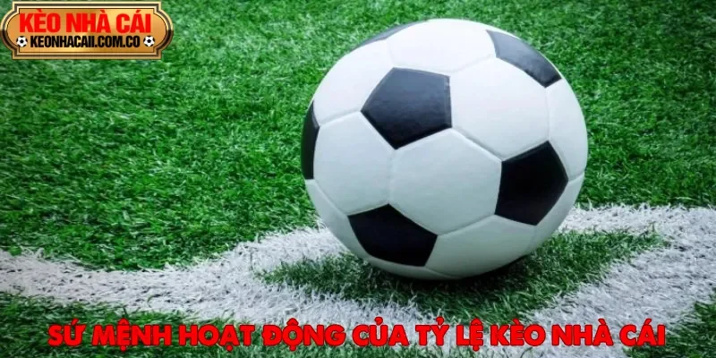 Tỷ Lệ Kèo Nhà Cái hướng đến xây dựng cộng đồng thể thao bền vững